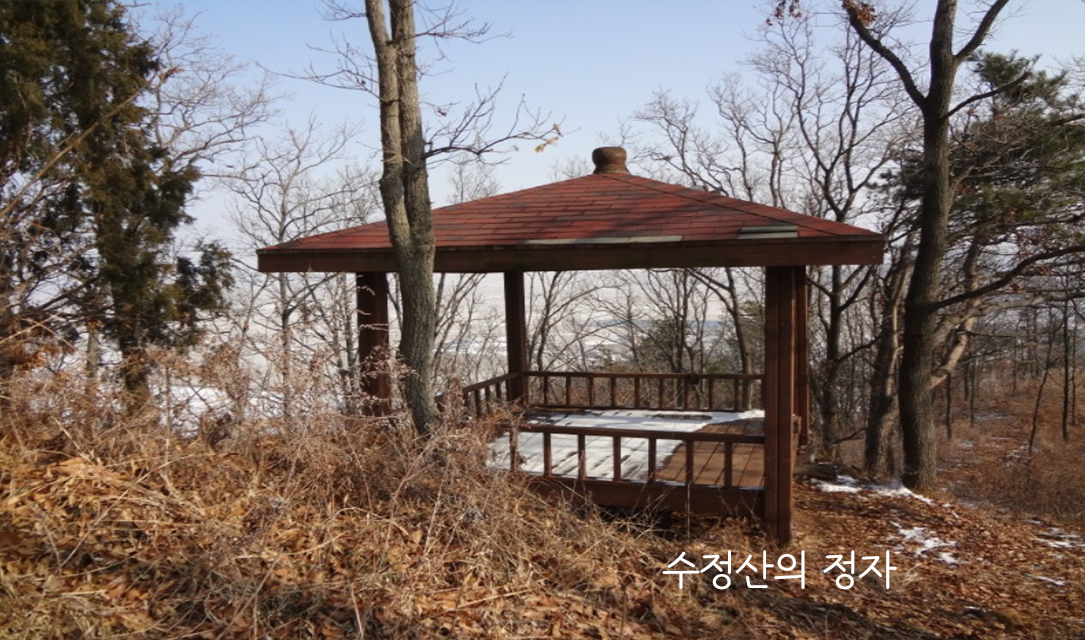 ������ ����